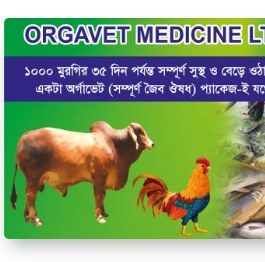 প্রচ্ছদ