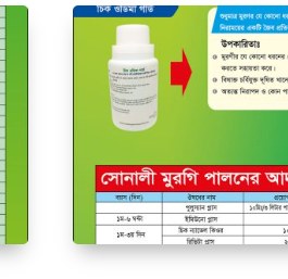 ব্রয়লার শিডিউল